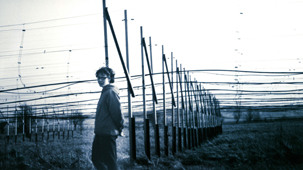 Building a telescope