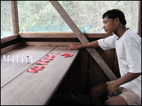 Índio Pirahã durante experimento. Foto: Edward Gibson