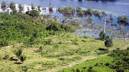 Illegally deforested land in the Brazilian state of Para.