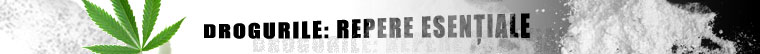 Drogurile: repere esenţiale