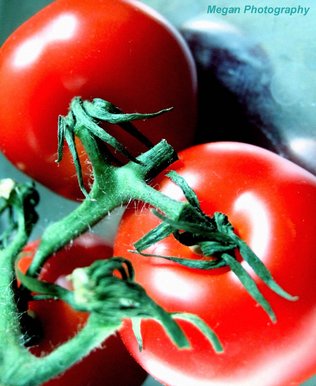 Natural forms- Art photography