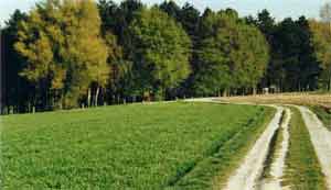 The site of Sheffield Park today