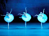 Swan Lake