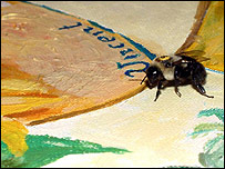 Abelha pousa em obra do pintor holandês Van Gogh