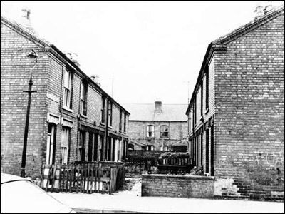 Old Meadows Gallery