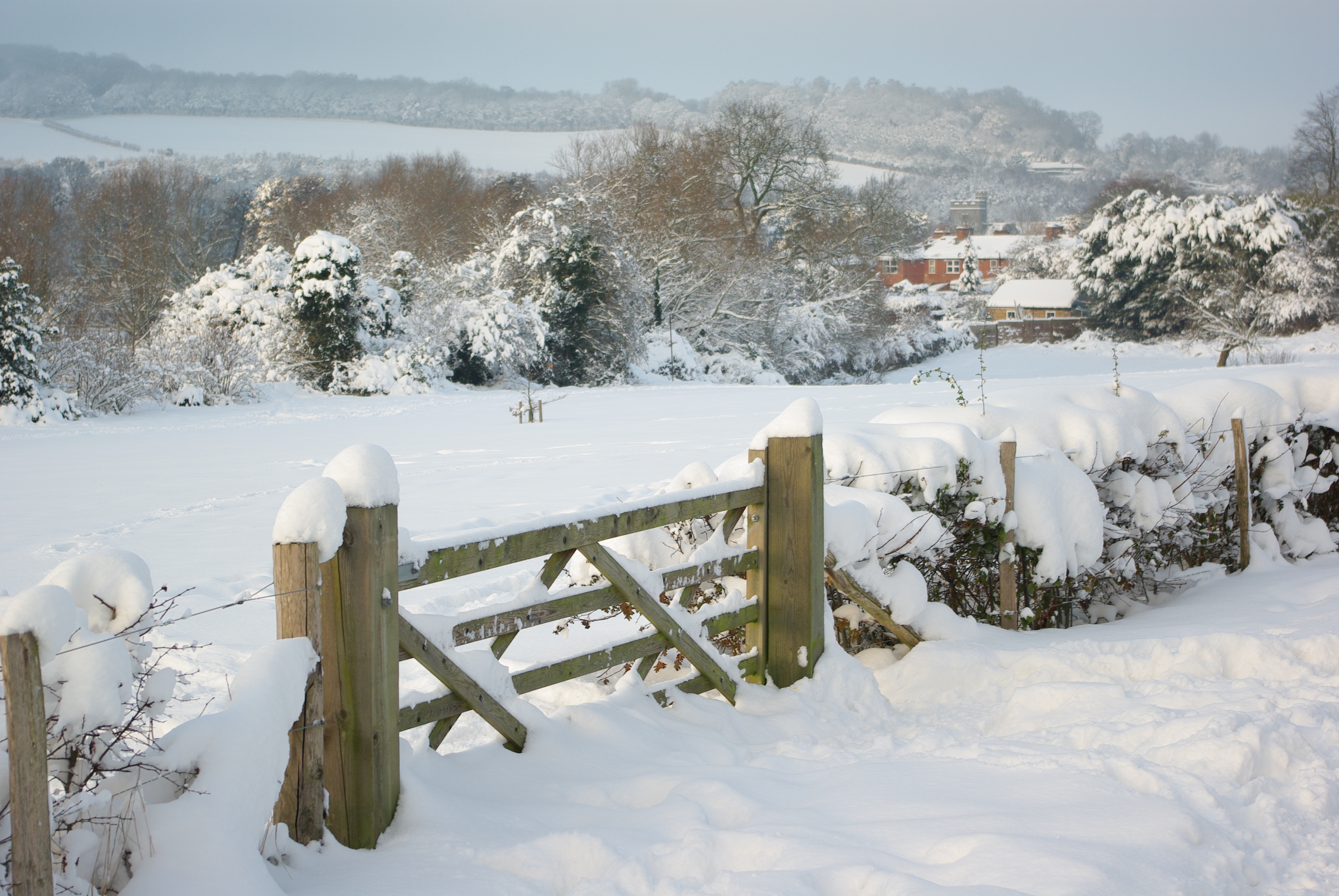 a snowy field