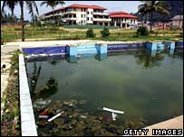 Một bể bơi tại khách sạn ở Khao Lak với rác rưởi và đổ nát do sóng thần