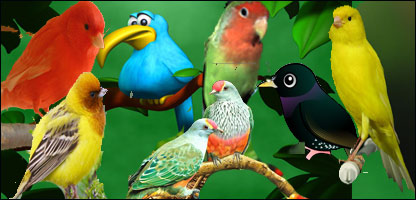 د الوتونکو نړۍ