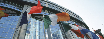 Learn essential phrases in 40 languages