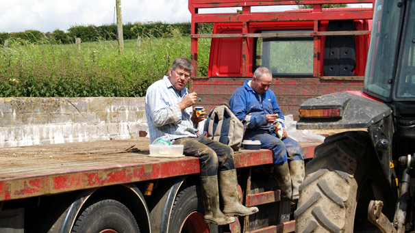 Farm workers eating lunch on the back of a flat-bed truck