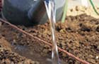 watering drill