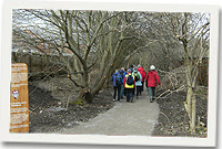 Cerddwyr ar lwybr newydd yn Yr Wyddgrug (llun gan Howard White)