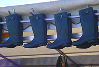 Welingtons - dydi pob 'ffermwr ifanc' ddim yn ffermwr!