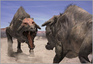 Entelodont