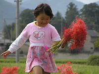 A young girl dressed in pink. This file is licensed under the Creative Commons Attribution ShareAlike 3.0 License.
