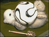 Knut no zoológico de Berlim