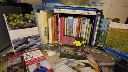 llyfrau bendramwnwgl