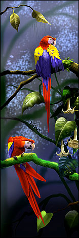 Parrots © Greg Harris