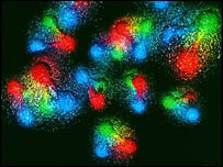 گزشتہ پچاس سال میں کاربن ڈائی آکسائڈ کی مقدار میں بیس فیصد اضافہ ہو چکا ہے