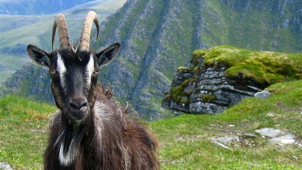 Noreen's companion for lunch.