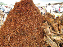 अबुजा में बिकती सूखी मछलियाँ