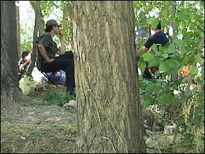 محمد جواد عليزاده