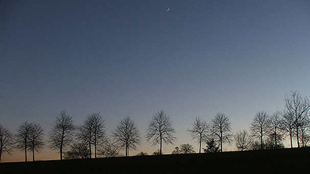 Winter Landscape