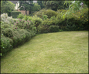 Empty BBC Essex garden