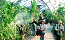 The Eden Project 
