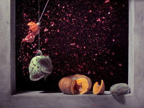 Ori Gersht ‘Pomegranate’ 2006. Commissioned as part of ‘Single Shot’. Funded by Arts Council England and the UK Film Council’s New Cinema Fund. Curated, promoted and toured by Film and Video Umbrella and managed by Film and Video Umbrella and Maya Vision International