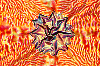 Pedro Barrios-Perez, Instituto de Ciências Microestruturais do Conselho Nacional de Pesquisa do Canadá (Foto: Cortesia do Concurso Nikon Small World)