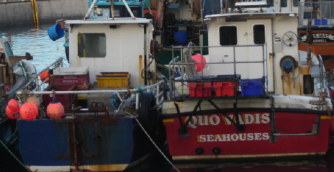 Seahouses Harbour