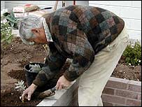 Mike planting 