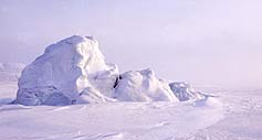 Iceberg