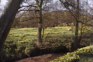 Hawson sees the spring arrive