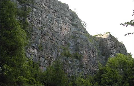 Llanymynech Rock nature reserve