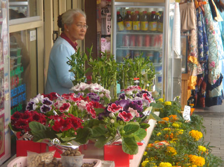 Hoa vạn thọ và hoa cúc cho người tha phương 