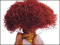 دزعفرانوکښت