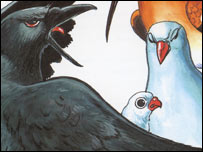 کبوتر و زاغ