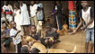 The street dogs of Freetown, Sierra Leone