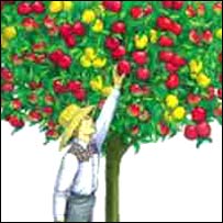 يوه ونه دوه رنګه مېوې