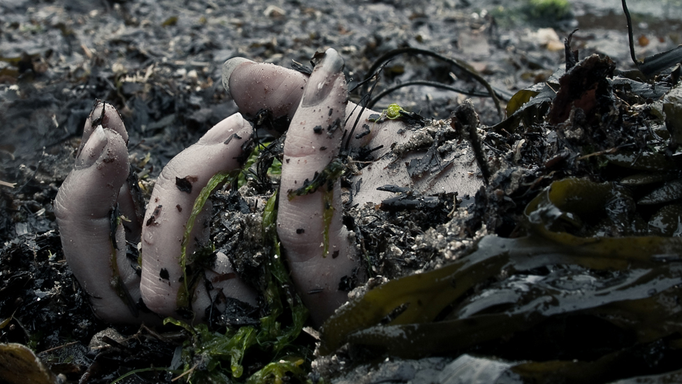 A reconstruction of a lifeless human hand washed up on a beach.