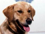 Click for More Pictures