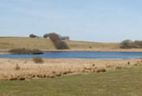 Llyn Eiddwen ar y Mynydd Bach