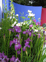 Luscious planting for the The Dalerush Garden