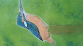 kingfisher acrylic...