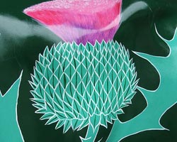 Thistle