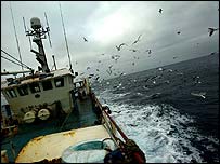 Tàu cá đại dương