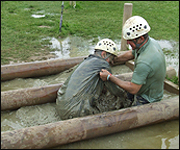 ray after water dunking