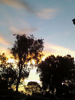 My backyard Australia